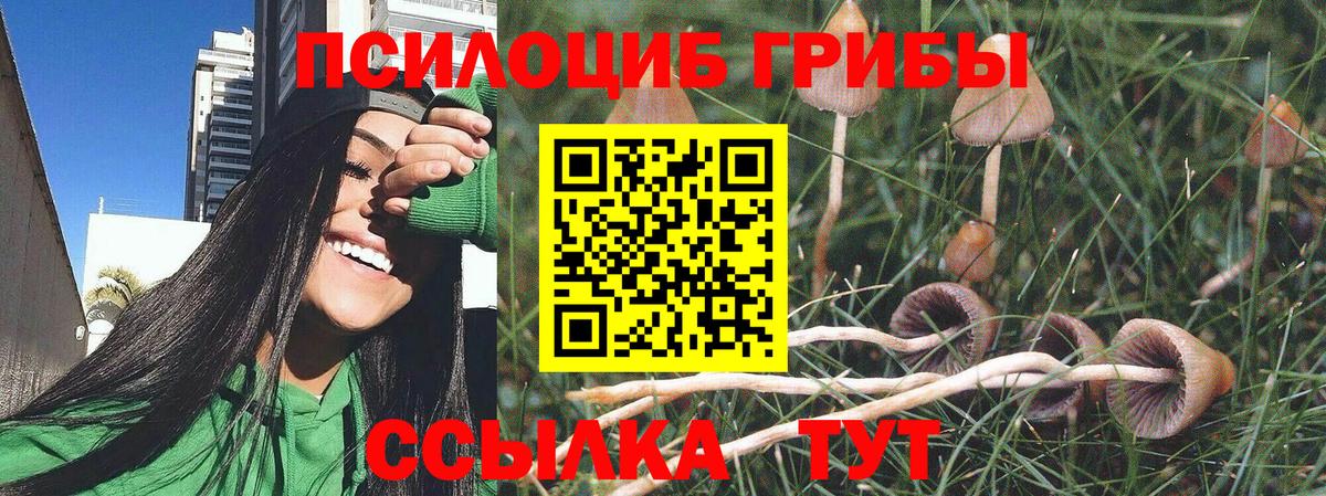 Волгоград  Псилоцибиновые грибы Magic Shrooms  Вход с VPN 