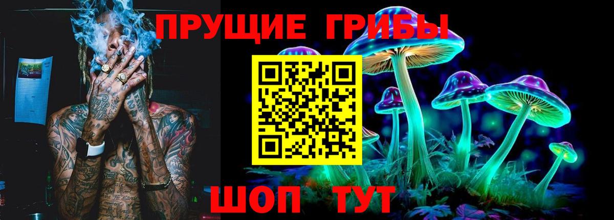Галлюциногенные грибы GOLDEN TEACHER Волгоград